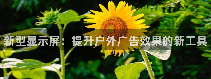 杏宇平台代理怎么赚钱：新型显示屏：提升户